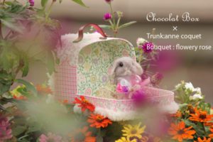 ショコラボックストランク2