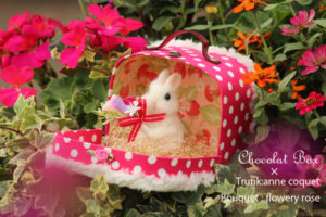 ショコラボックストランク1