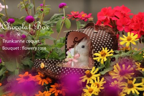 Chocolat Box2