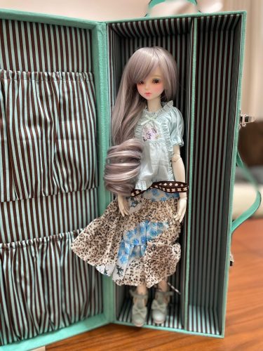 42㎝ドール・キャリートランク